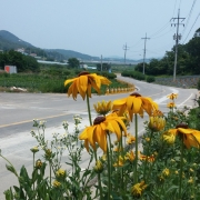 등반로 입구엥서 바라본 선착장