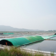 시도 염전