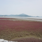 석포리 마을