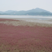 석포리 마을