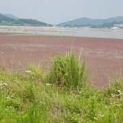 석포리 마을