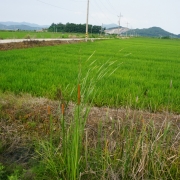 석포리 마을