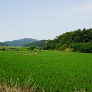 석포리 마을