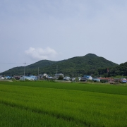 큰길에서 바라본 마을 전경